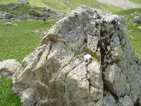 Youri - Ecrins 2005 079